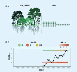 地下水洪水2