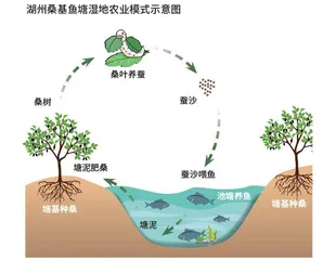 湿地让水患变“水利”2