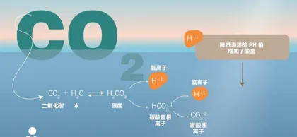 深度唤醒经略海洋1