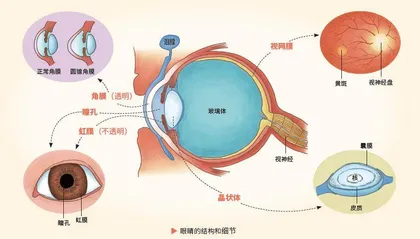 眼波流转间的微观宇宙0