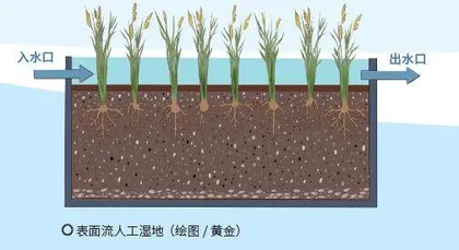 农村污水净化有妙计人工湿地1