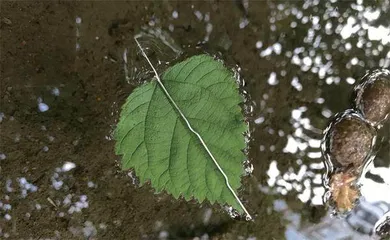 夏日探险安全指南3