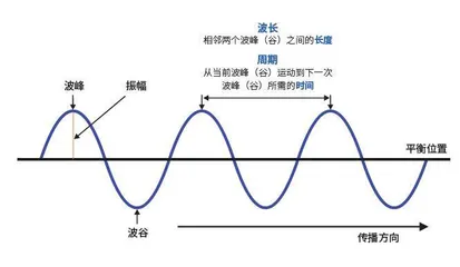 海浪“大家族”2