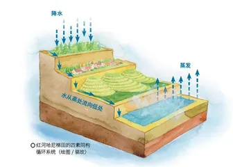 红河哈尼梯田人与自然和谐共生的宝地1