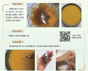 用橘皮提取精油