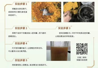 用橘皮提取精油1