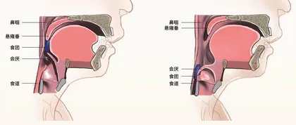 神奇的“小舌头”1