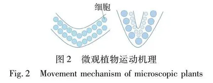 基于双层弹性连接的气动变弯度机翼结构设计0