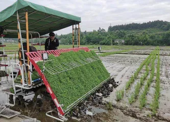 机器狗“搬运工”爬泰山等5