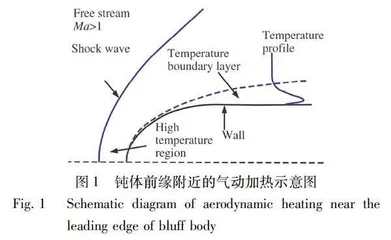 气动加热的数值仿真及其地面试验模拟技术0