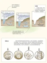 十亿年的赠礼3