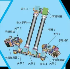 中国空间站一条手臂竟然有7个关节？1