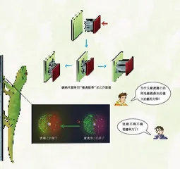 飞檐走壁鞋1