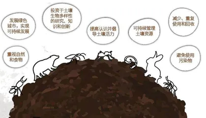 土壤生物多样性：地球演化的引擎2