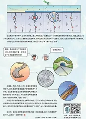 微米级的“生物建筑师”1