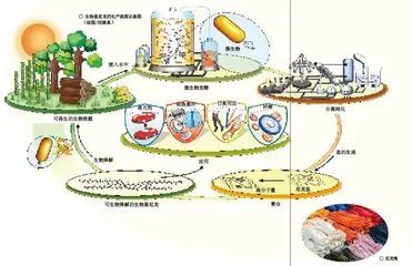 生物基尼龙