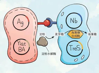 可以快速自愈的神奇材料3