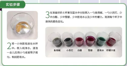 自制酸碱指示剂2