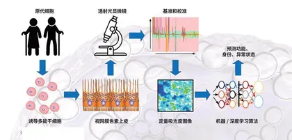 未来医疗的“新大门”：定制化干细胞6