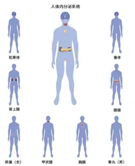 细胞“通信网络”1