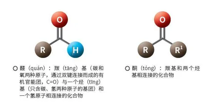 植物的“香”与“臭”1