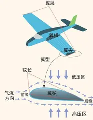 从双翼到单翼飞机“翅膀”的演化史4