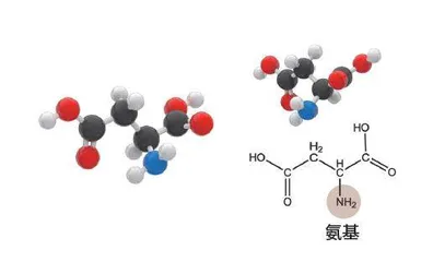 美味的化学反应2