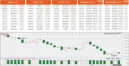 科创板/创业板观察1