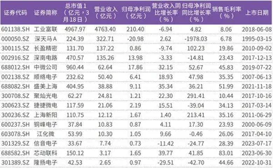 工业富联暂居电子股盈利规模之最北向资金年内重点关注中微公司