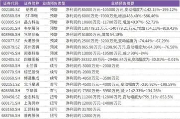 蔚来、吉利“自建”汽车芯片体系汽车芯片国产替代加速