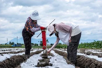 拼多多发布Q2财报，投入百亿扶持新质商家，持续助力商家提质增效1