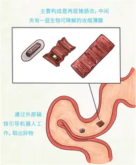 会“变身”的可编程物质2