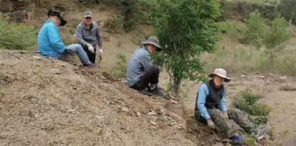 解密古老难题的“黑匣子”0