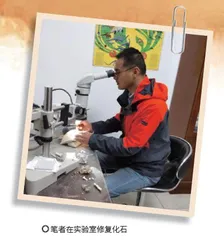 古生物学家的科研日常1