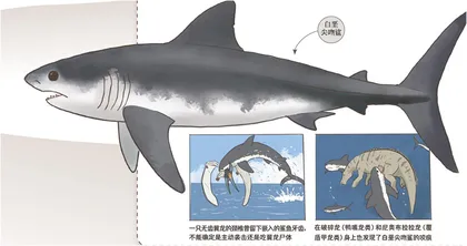 欢迎来到白垩纪水族馆1