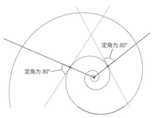 蜘蛛网里的奇妙数学3