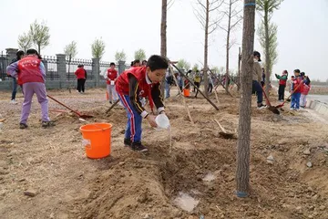 科学少年中国行“让生命站立成树”研学活动5