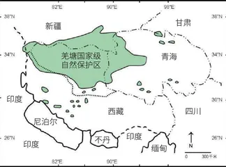 牦牛——承载生活与文明的“高原之舟”1