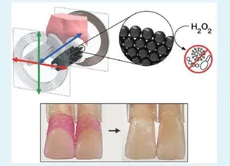 让可变形微机器人替代牙刷和牙线0