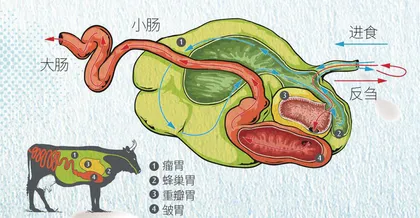 风味牛奶制造机