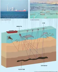 海洋噪声何时休2