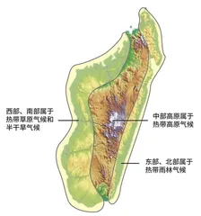 马达加斯加科考记（上）5