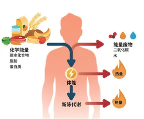 生活中亦敌亦友的糖2