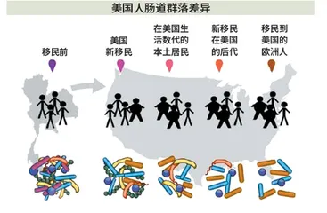 人体微生态 细菌来主宰4