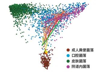 人体微生态 细菌来主宰6