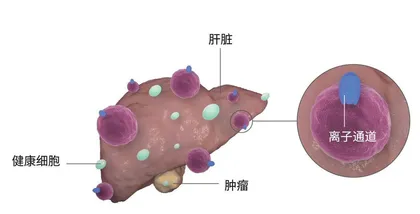 “以毒攻毒”的毒液力量4