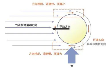   乒乓球打不好？先来学物理1