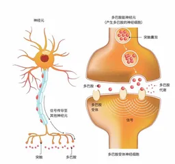 用眼“秘籍”“擦亮”模糊双眼2