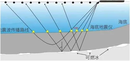 唤醒“海底睡美人”1