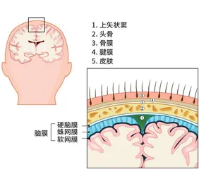 太空中被“重塑”的大脑2